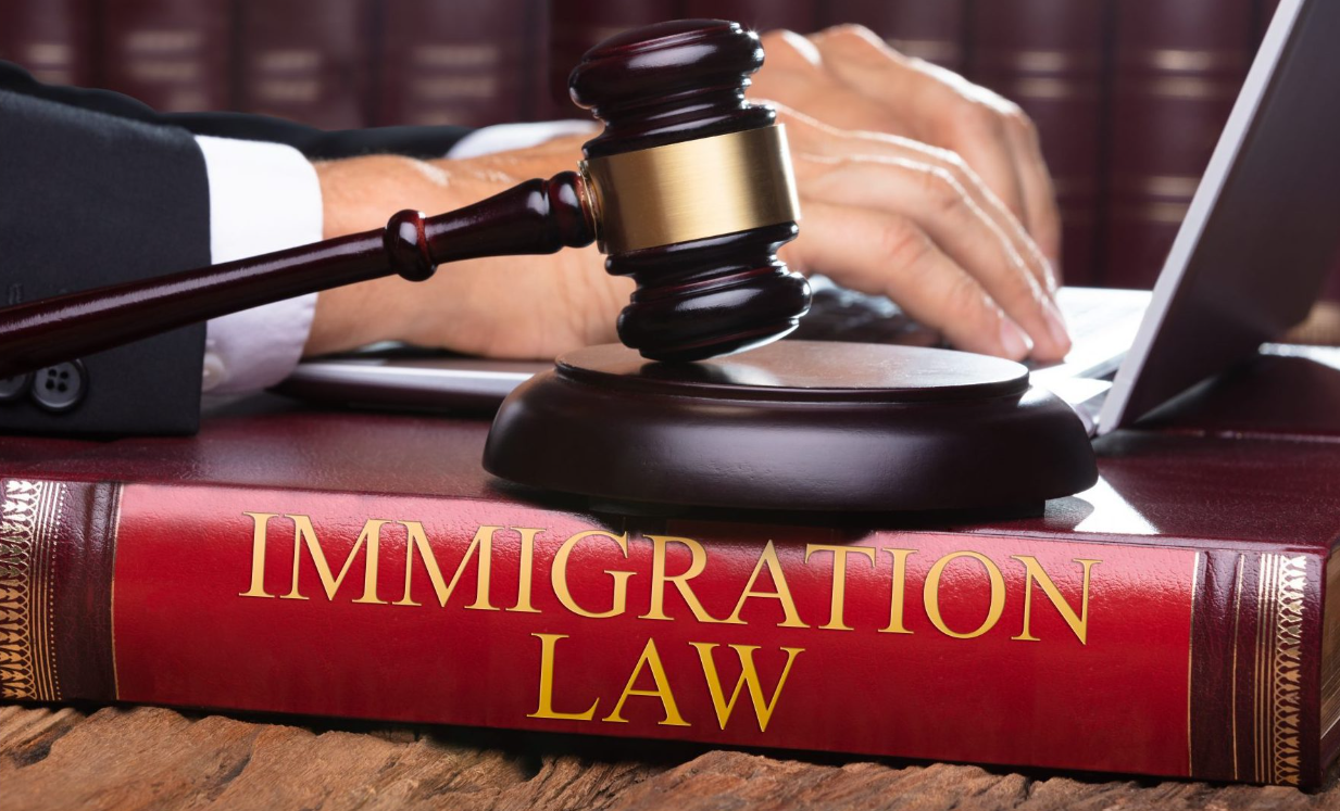 A close-up image of a gavel placed on top of a red book titled "Immigration Law." The background shows a person's hand resting on a desk, suggesting a legal or courtroom setting.