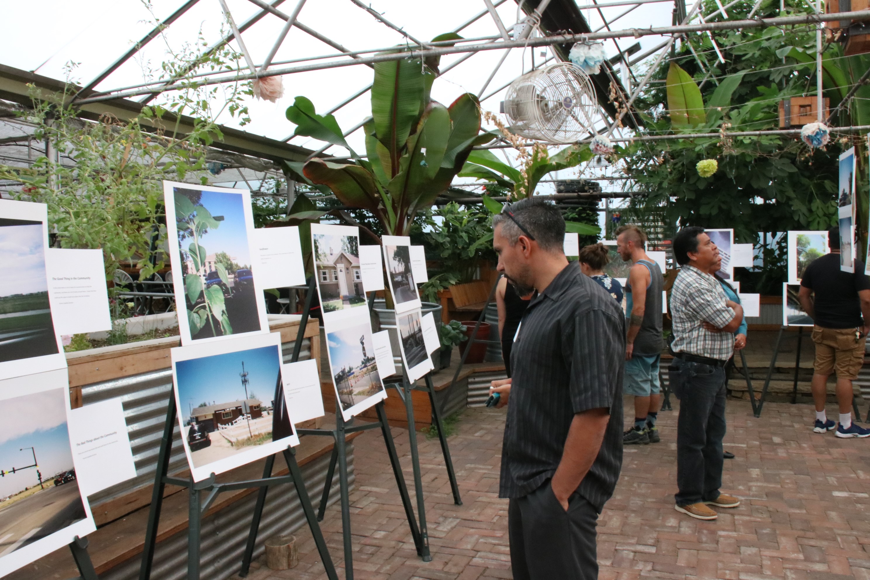Row of presentation boards in a greenhouse