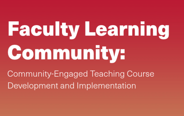 faculty learning community