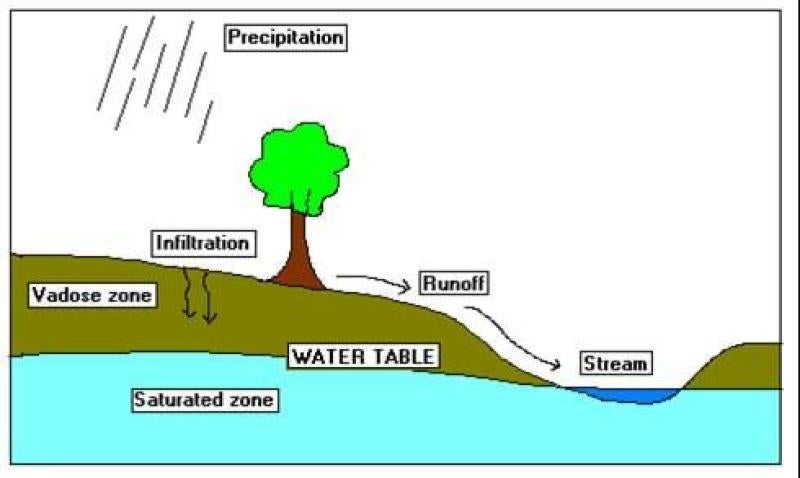 A simple cross-sectional diagram illustrating the water cycle processes affecting groundwater. It shows precipitation falling onto the land surface, with water infiltrating into the soil through the vadose zone down to the saturated zone below the water table. Some water runs off into a nearby stream. Labels identify key elements: Precipitation, Infiltration, Runoff, Vadose zone, Saturated zone, Water Table, and Stream. A tree is shown on the land surface, demonstrating vegetation's role in the system.