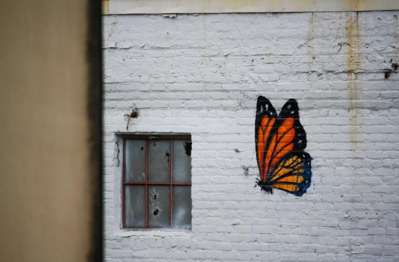 butterfly mural