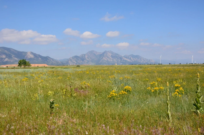 image of wide prairie with flatiron mountains in the distance