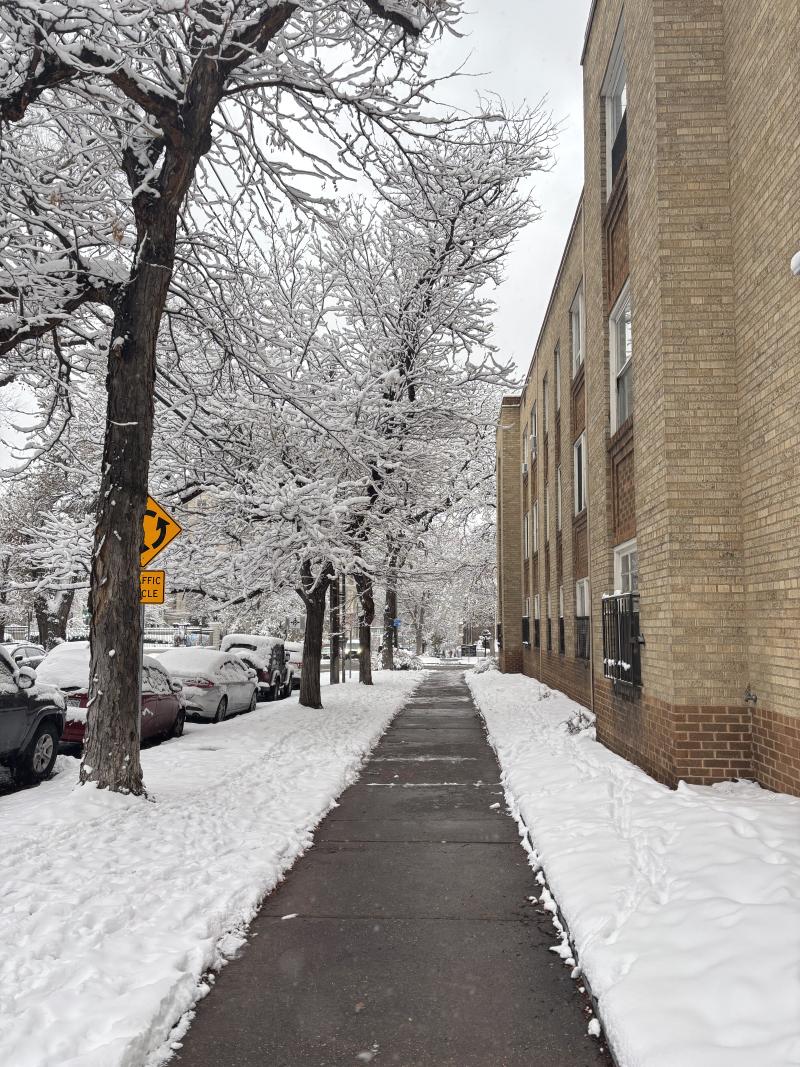 Snowy street 
