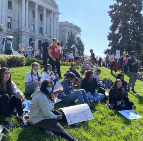 group of students sitting on grass in front of the capitol