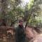 ian; man standing in forest smiling at camera