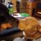 dogs with noses touching