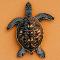 turtle on sand